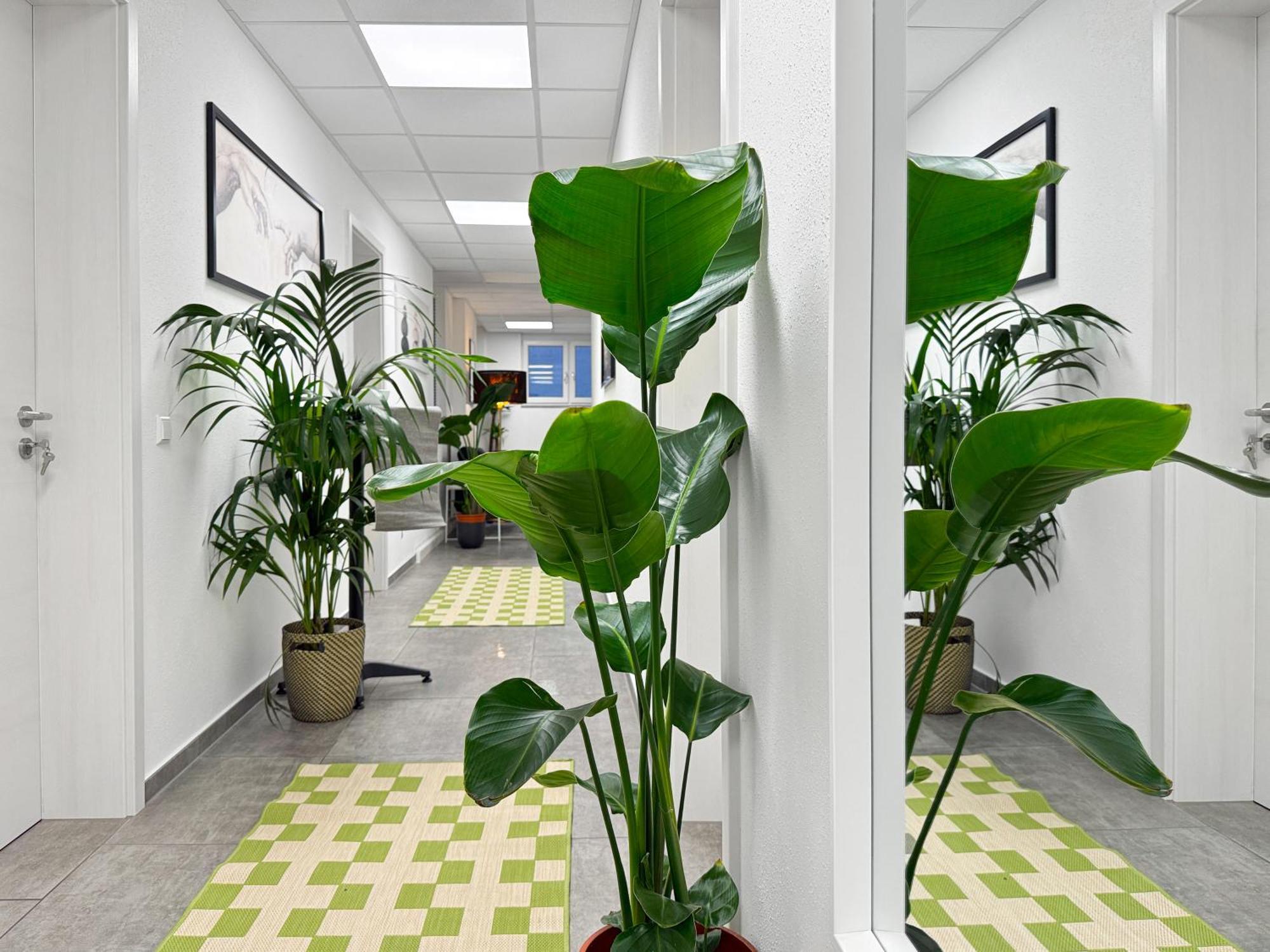 Group Friendly Comfort Central Stuttgart Apartment Exteriör bild